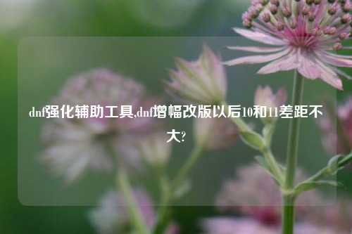 dnf强化辅助工具,dnf增幅改版以后10和11差距不大?