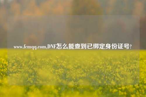 www.fcmqq.com,DNF怎么能查到已绑定身份证号?