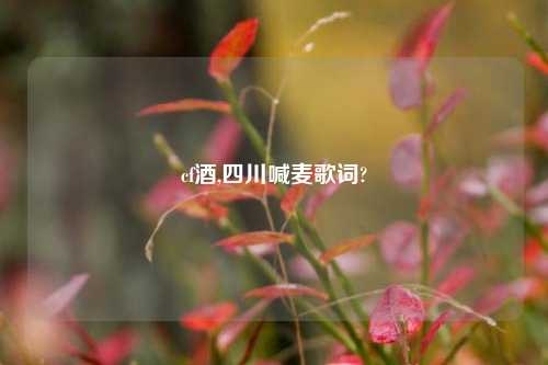 cf酒,四川喊麦歌词?