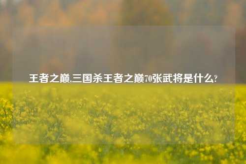 王者之巅,三国杀王者之巅70张武将是什么?