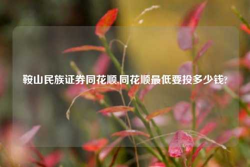 鞍山民族证券同花顺,同花顺最低要投多少钱?