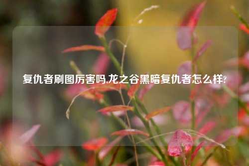 复仇者刷图厉害吗,龙之谷黑暗复仇者怎么样?