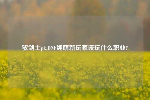 驭剑士pk,DNF纯萌新玩家该玩什么职业?