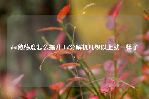 dnf熟练度怎么提升,dnf分解机几级以上就一样了?