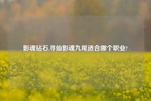 影魂钻石,寻仙影魂九尾适合哪个职业?