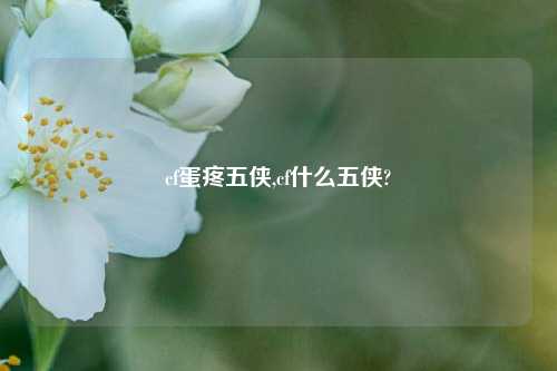 cf蛋疼五侠,cf什么五侠?