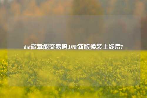 dnf徽章能交易吗,DNF新版换装上线后?