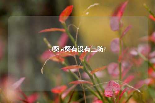 cf葵,cf葵有没有三防?