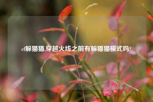 cf躲猫猫,穿越火线之前有躲猫猫模式吗?