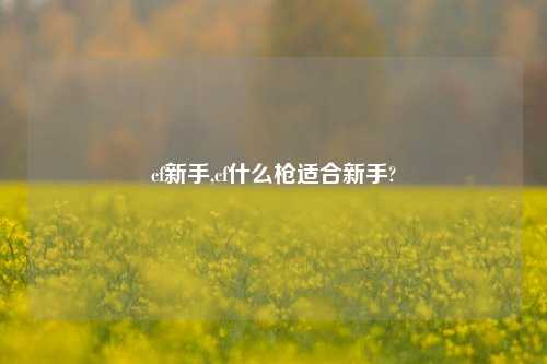 cf新手,cf什么枪适合新手?