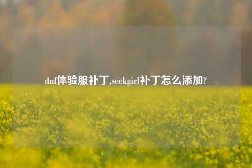 dnf体验服补丁,seekgirl补丁怎么添加?