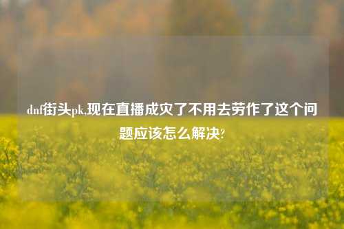 dnf街头pk,现在直播成灾了不用去劳作了这个问题应该怎么解决?