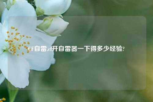 CF自雷,cf开自雷器一下得多少经验?