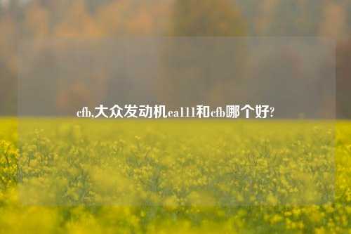 cfb,大众发动机ea111和cfb哪个好?