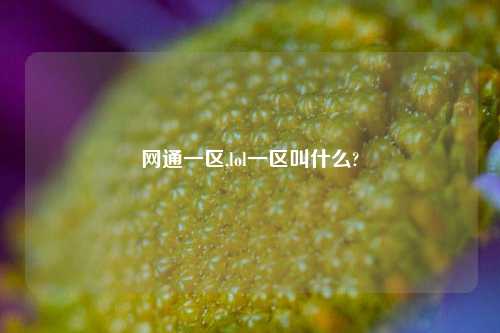网通一区,lol一区叫什么?