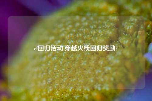 cf回归活动,穿越火线回归奖励?