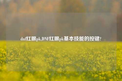 dnf红眼pk,DNF红眼pk基本技能的按键?