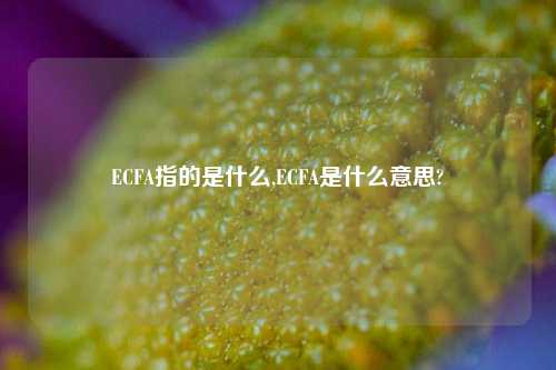 ECFA指的是什么,ECFA是什么意思?