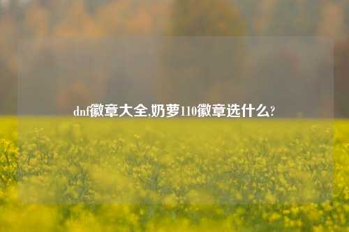 dnf徽章大全,奶萝110徽章选什么?