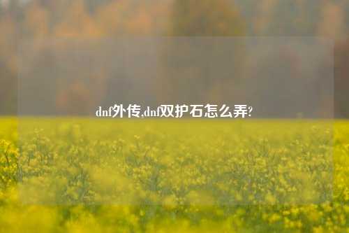 dnf外传,dnf双护石怎么弄?