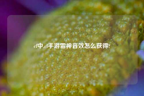 cf中,cf手游雷神音效怎么获得?