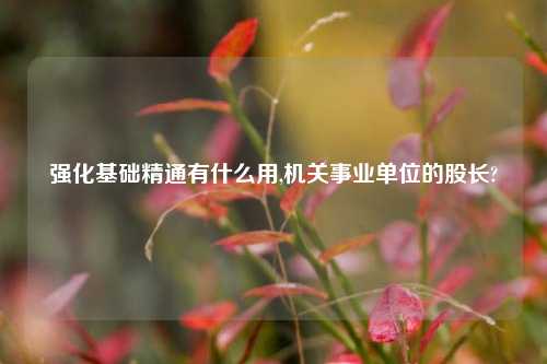 强化基础精通有什么用,机关事业单位的股长?
