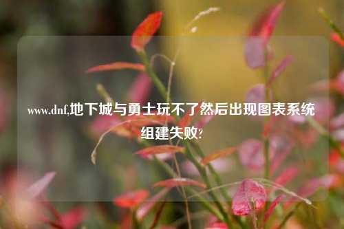 www.dnf,地下城与勇士玩不了然后出现图表系统组建失败?