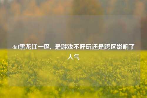 dnf黑龙江一区,  是游戏不好玩还是跨区影响了人气