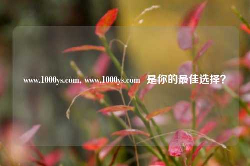 www.1000ys.com, www.1000ys.com  是你的最佳选择？