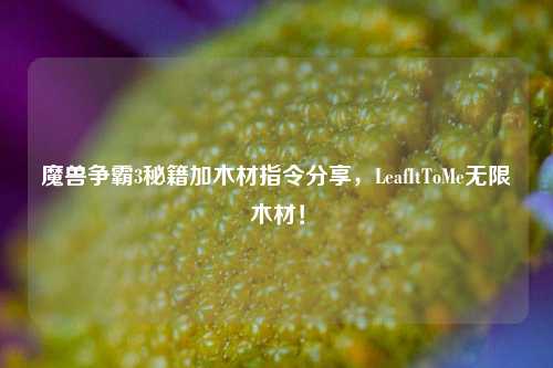 魔兽争霸3秘籍加木材指令分享，LeafItToMe无限木材！