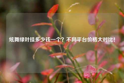 炫舞绿叶挂多少钱一个？不同平台价格大对比！