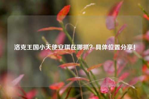 洛克王国小天使安琪在哪抓？具体位置分享！