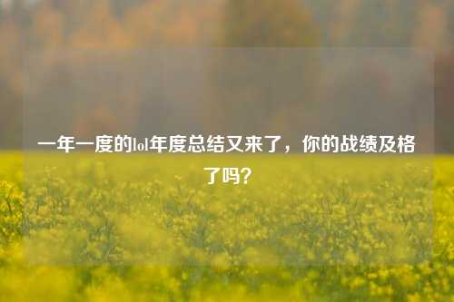 一年一度的lol年度总结又来了，你的战绩及格了吗？