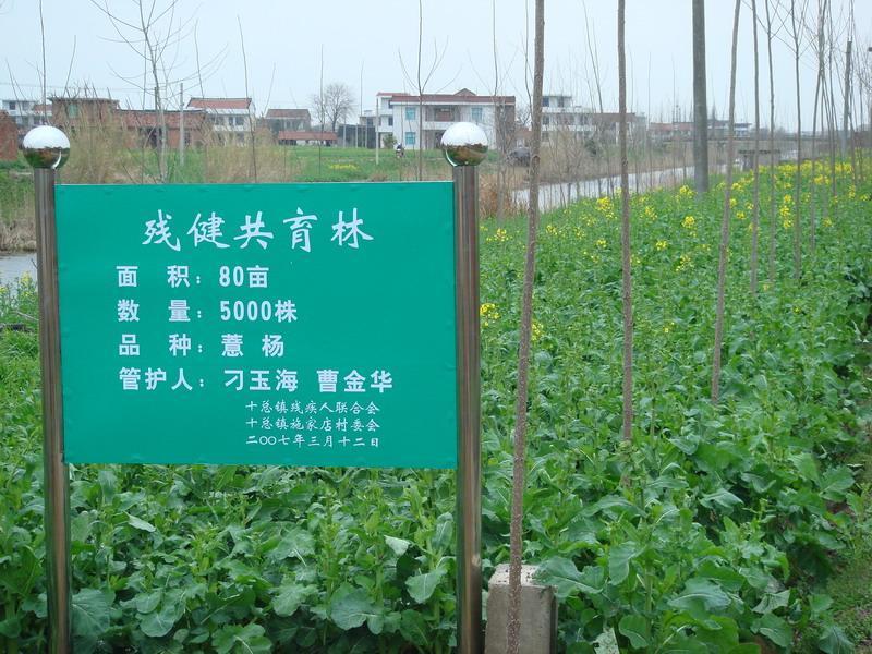 东源电器股吧,三元锂电池车企?